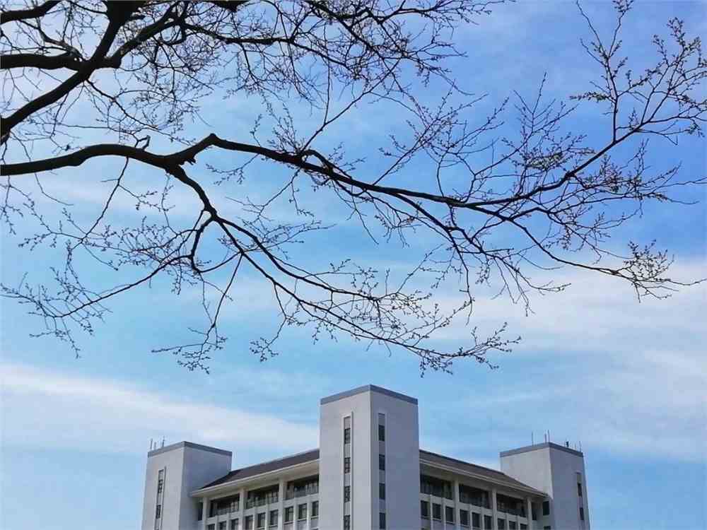 "醉"美校园摄影大赛美图大放送