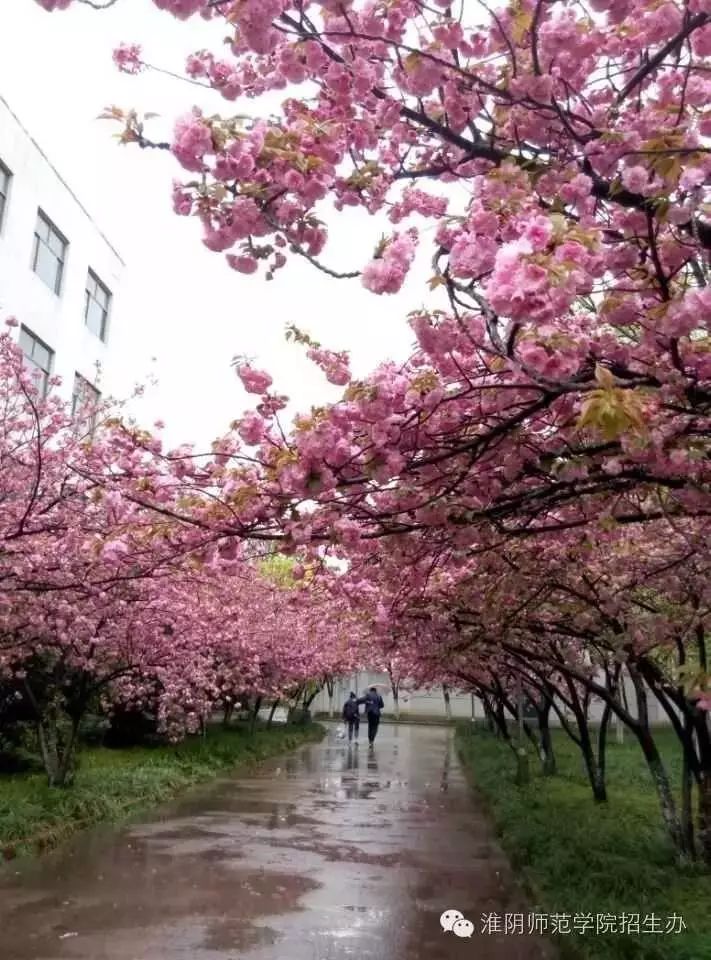 淮阴师范学院2019年第二批录取通知书邮寄快报