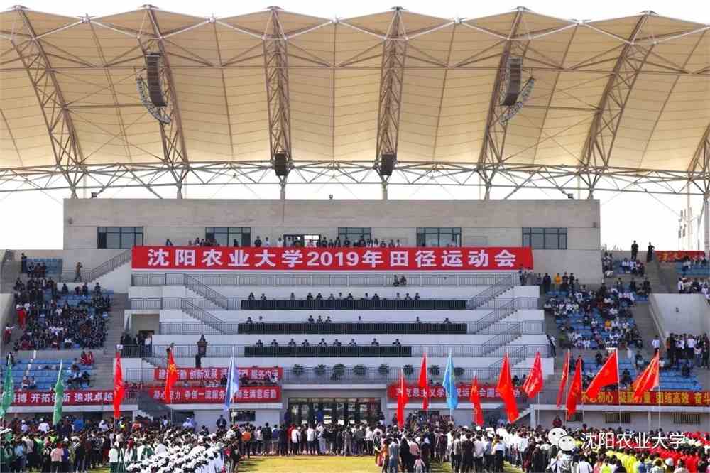 今年沈农的运动会也太太太精彩了吧