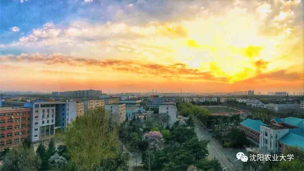 来了最美校园沈农要c位出道