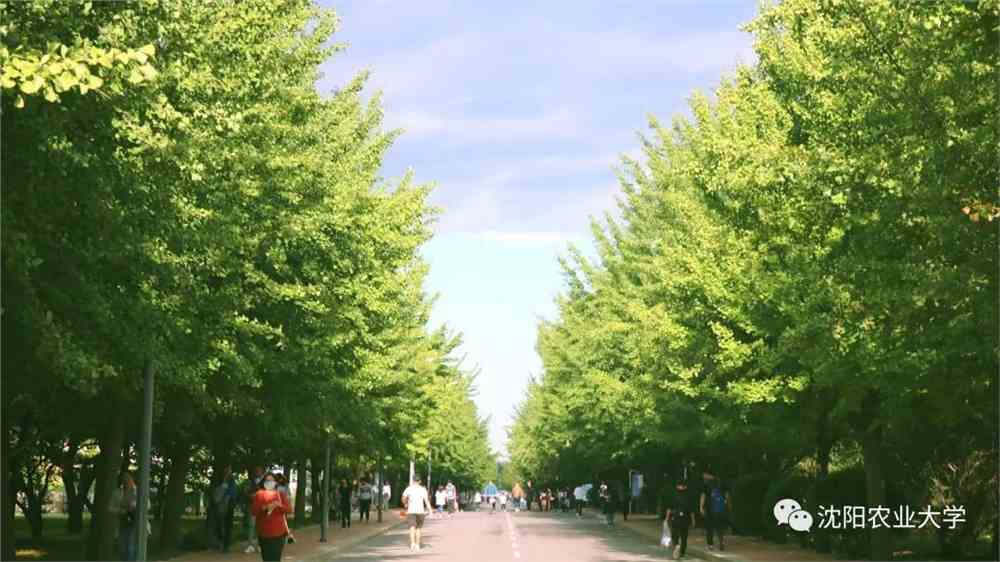 来了最美校园沈农要c位出道