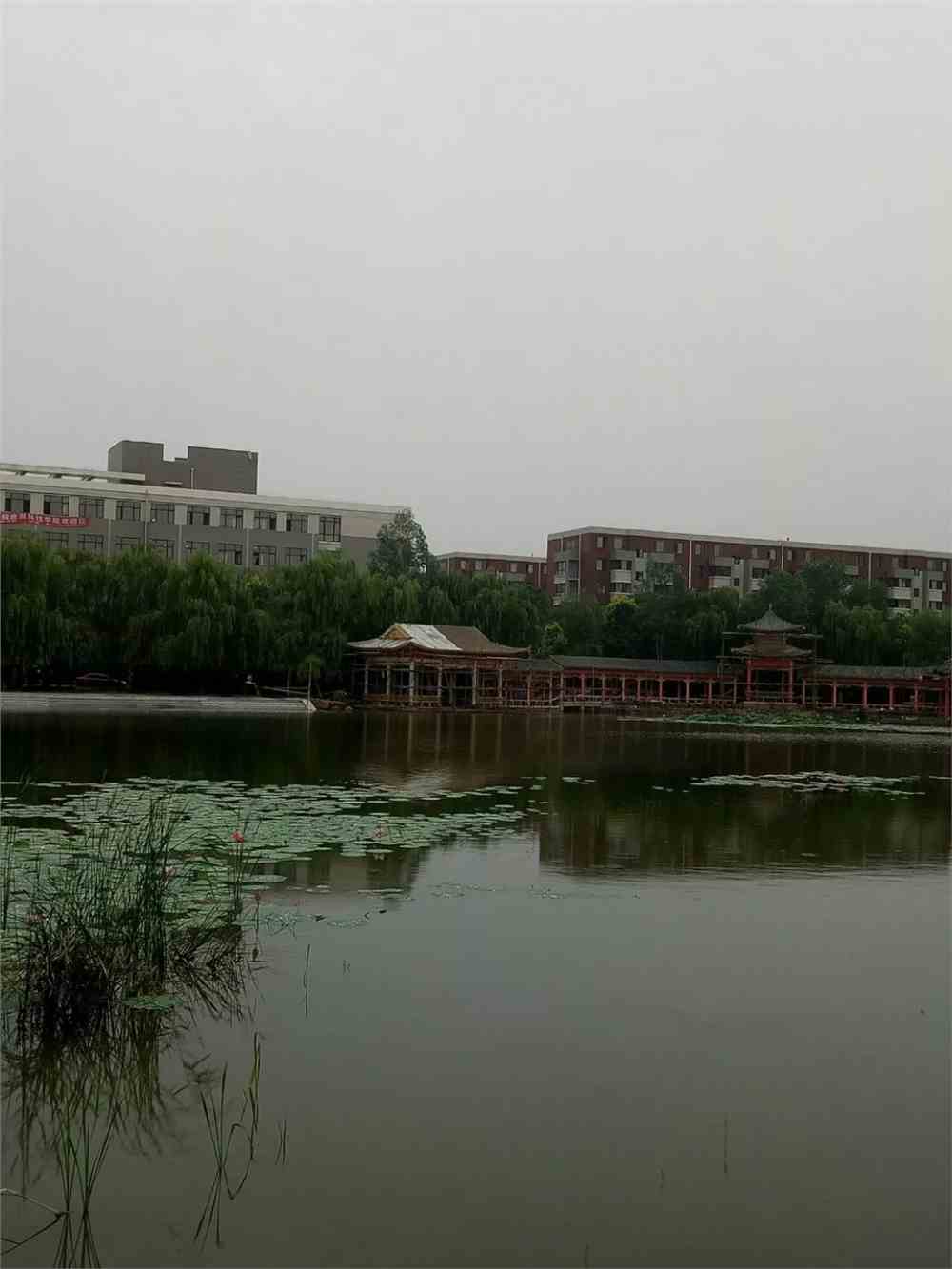 沈阳城市建设学院招生服务在线