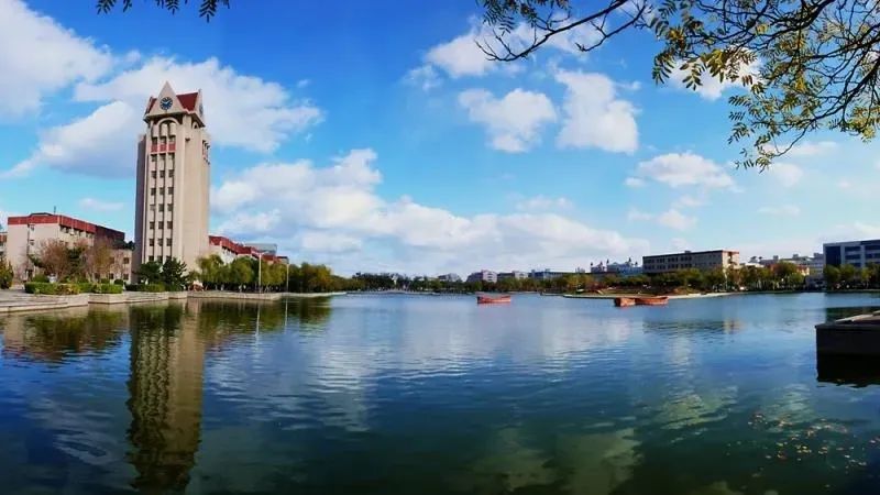 听说烟台大学有了自己的朋友圈