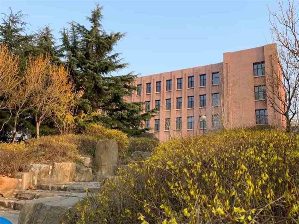 山东财经大学东方学院