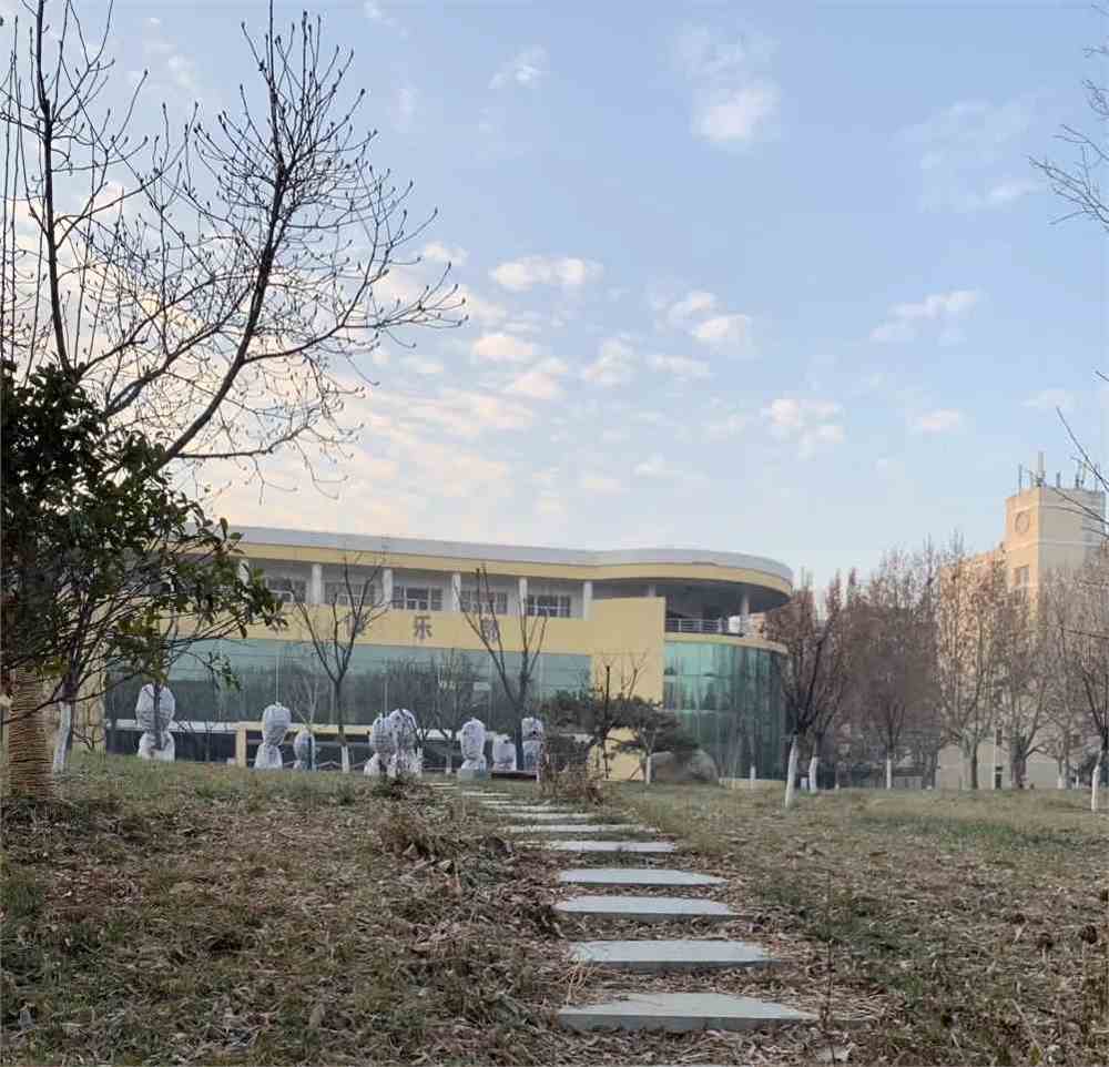 山财大东方学院这些路,通向哪里?你最钟情的是