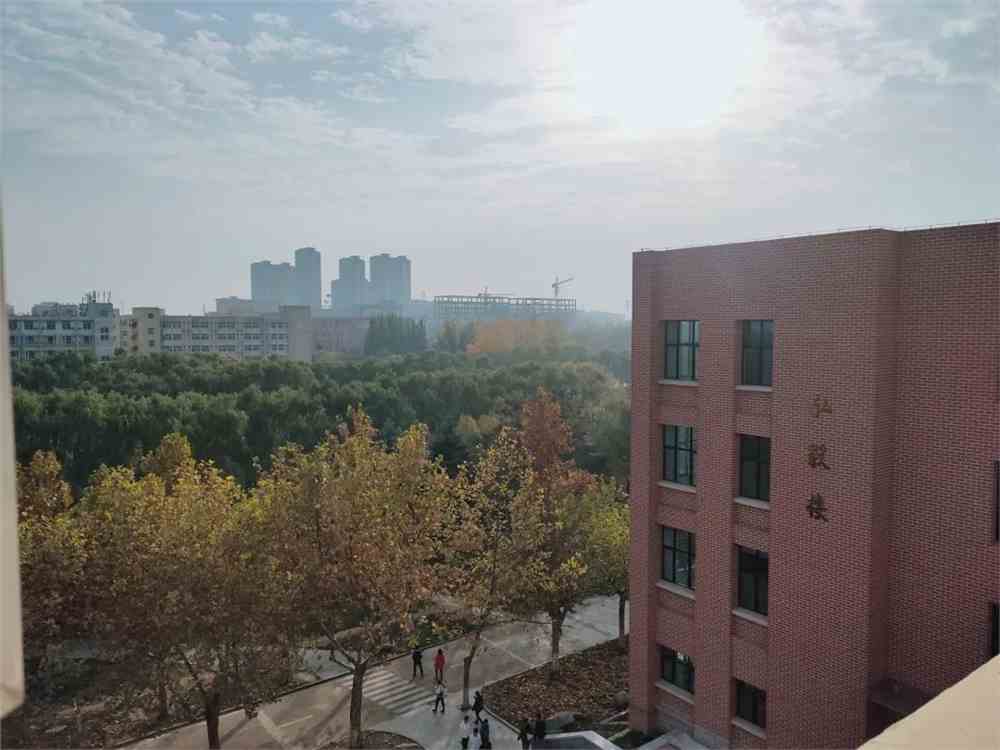 夏天到了山财大东方学院里的那些精灵都开口说话了