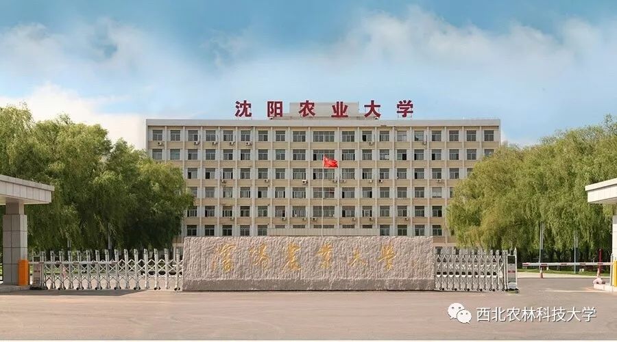 你农我农@华中农大,此刻,"农林"兄弟们和你在一起!