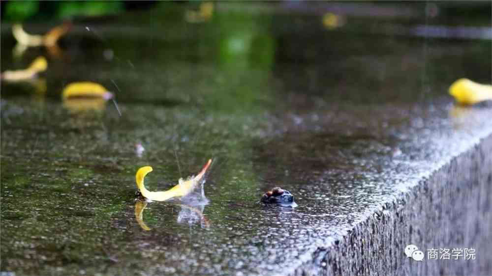 细雨绵绵,秋天你好