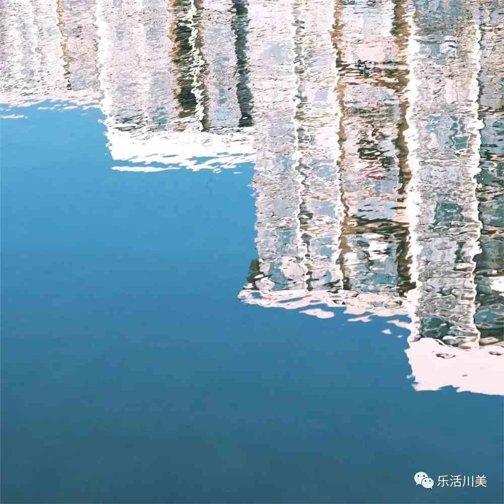 2020年春季摄影作品获奖名单揭晓!