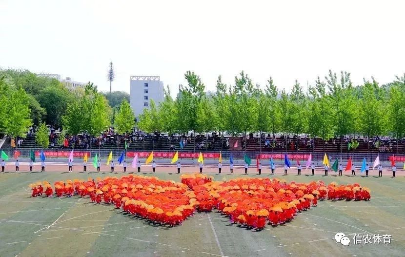 学校现有室外运动场46497平方米,其中,标准田径运动场1块,篮球场14块