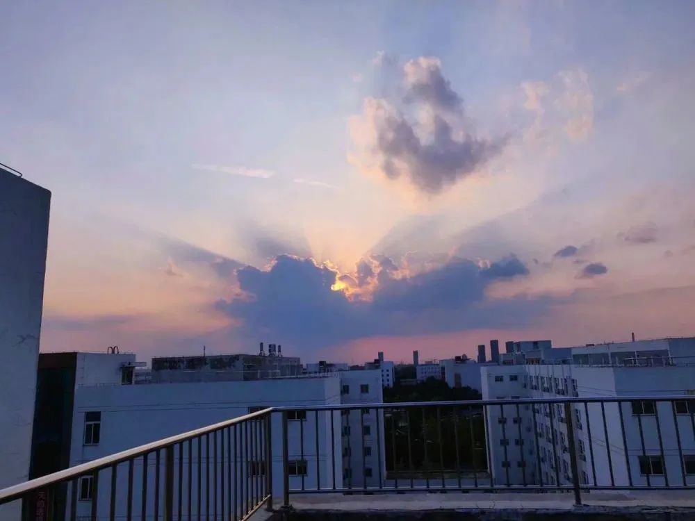 校区简介|南京林业大学淮安校区