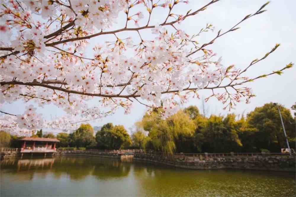 南通大学
