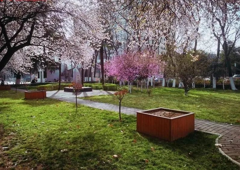 长安大学,邀你共赏良辰美景