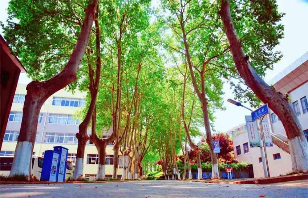 南京机电职业技术学院