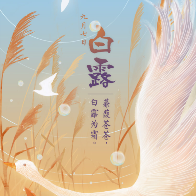蒹葭苍苍白露为霜