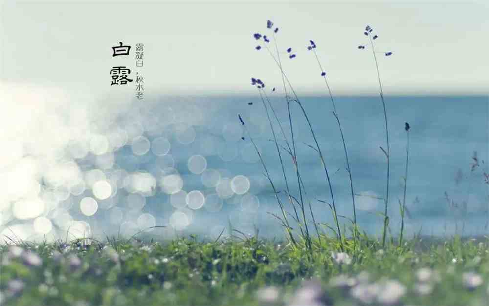 你感受到秋天的凉意了吗?