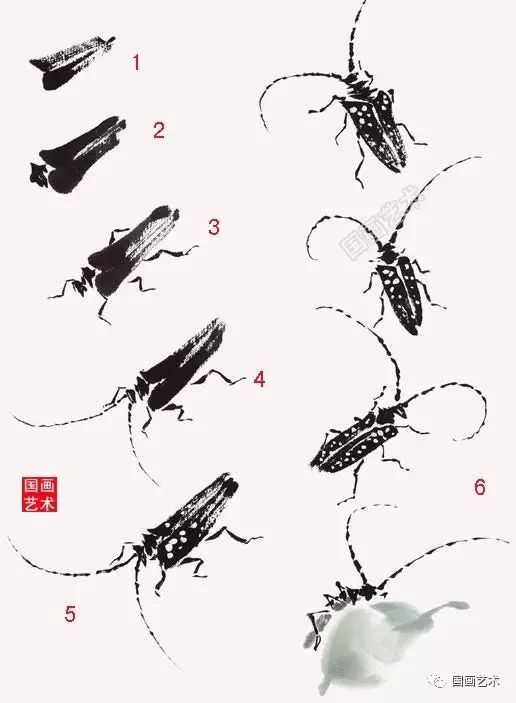 技法教程丨图文教程:简单几步学会画草虫_国画微学堂_零二七艺考