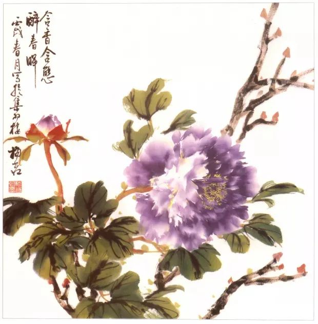 梅若老师教你画小写意牡丹简单易学