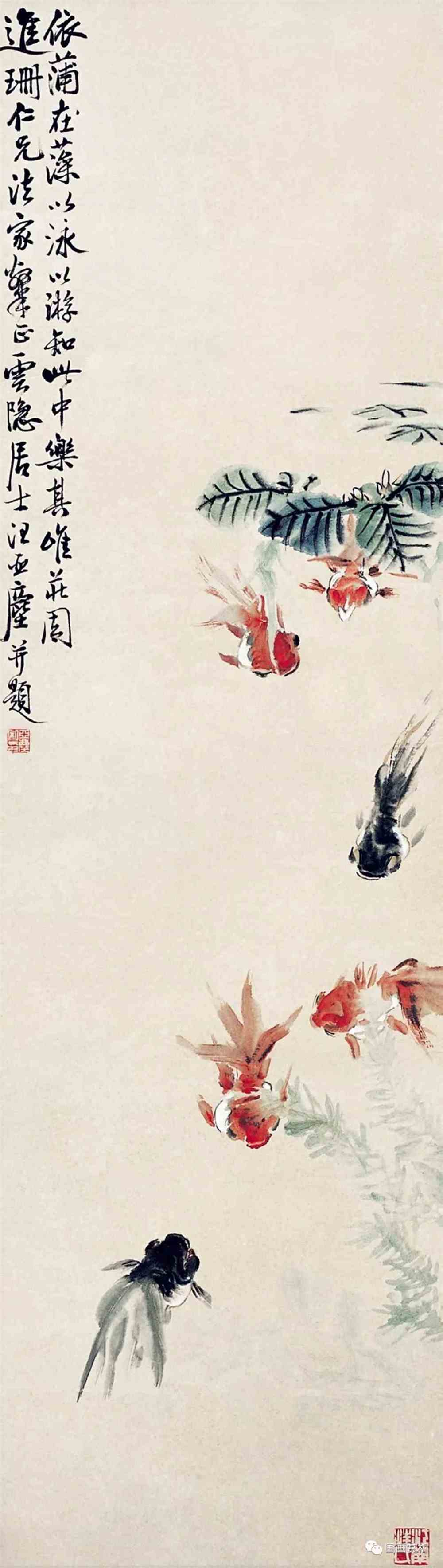 金鱼先生—汪亚尘