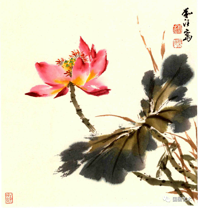 图文教程简单易学的写意荷花画法