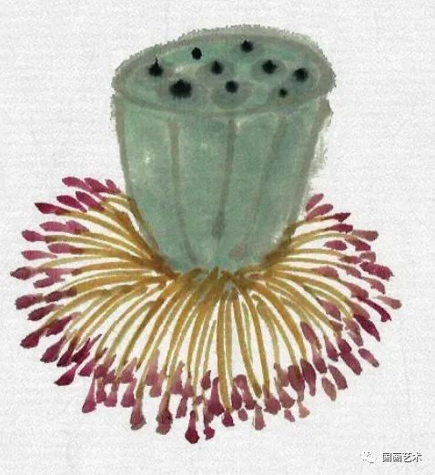 图文教程:一步一步学画荷花花蕊,莲蓬_国画艺术_零