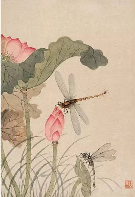 莲花入国画美了整个夏天