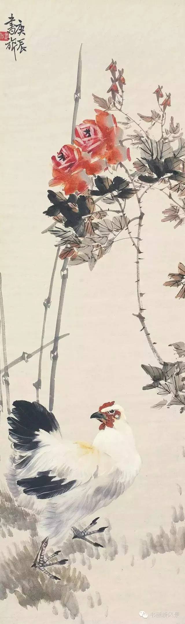 张书旗画的鸡好讨人喜欢