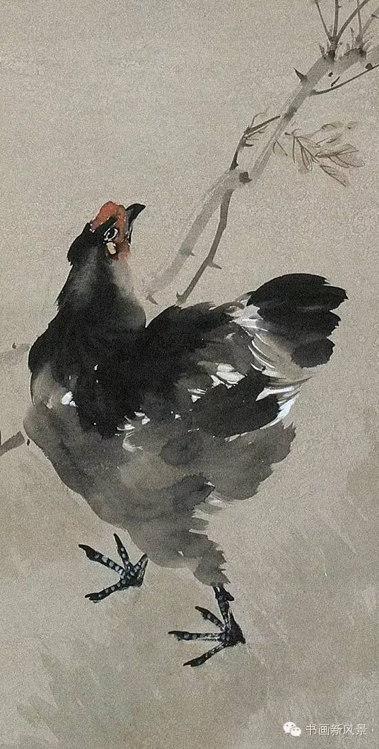 张书旗画的鸡好讨人喜欢