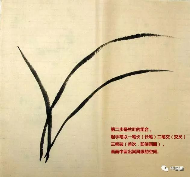 画友参考技法兰花画法解析