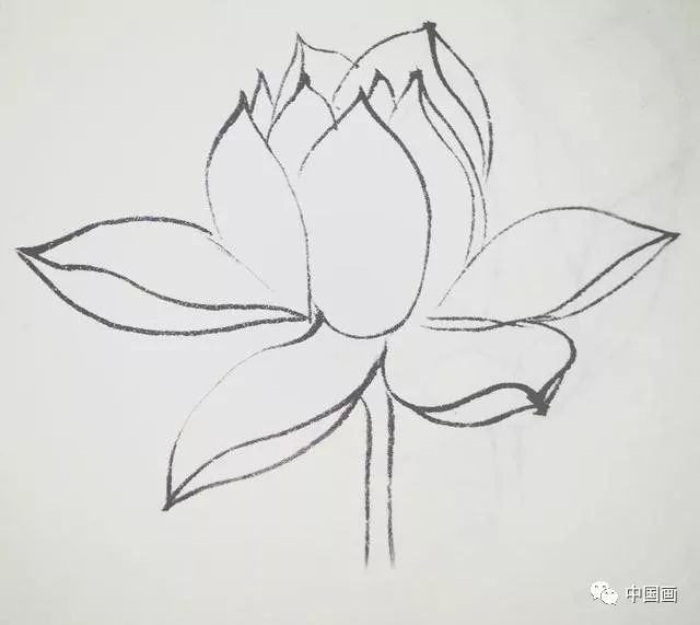 初生的荷箭劲健清新,用健笔一笔画成,然后加梗,勾筋.