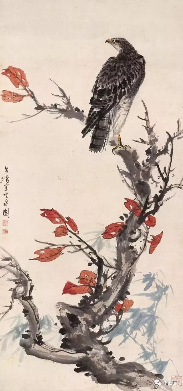 王雪涛的花鸟草虫清新灵妙雅俗共赏