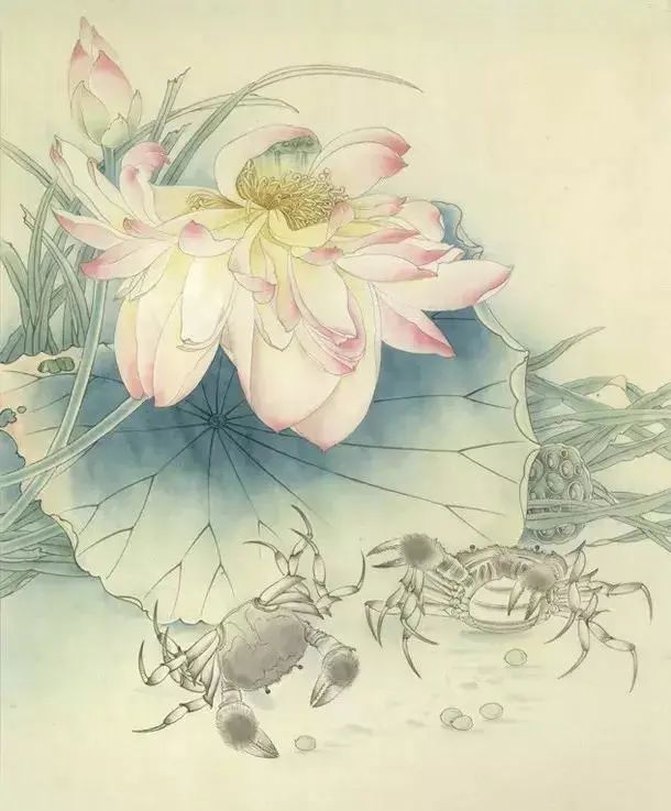 工笔画荷花和谐图,图文步骤详解