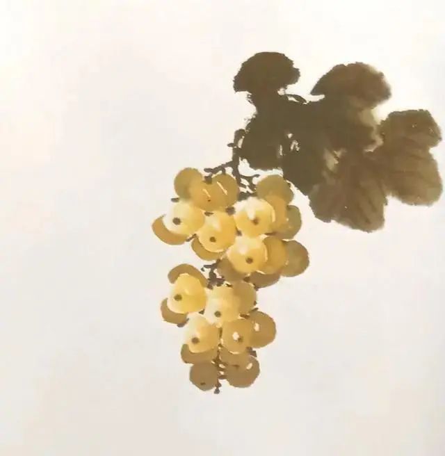 国画教程:葡萄的画法,收藏起来好好学