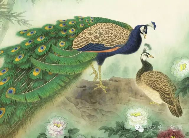国画教程32集李科宏工笔孔雀设色公益视频