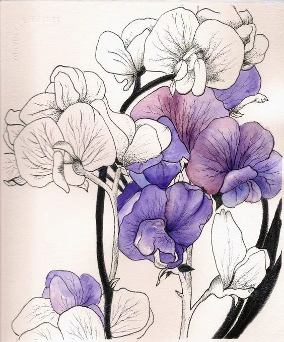 线描干货分享,带你快速入门