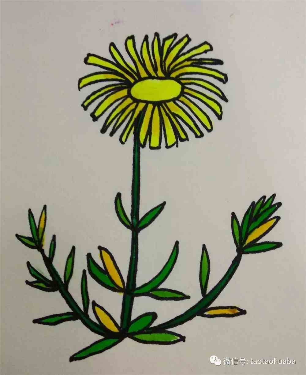 教你画小雏菊