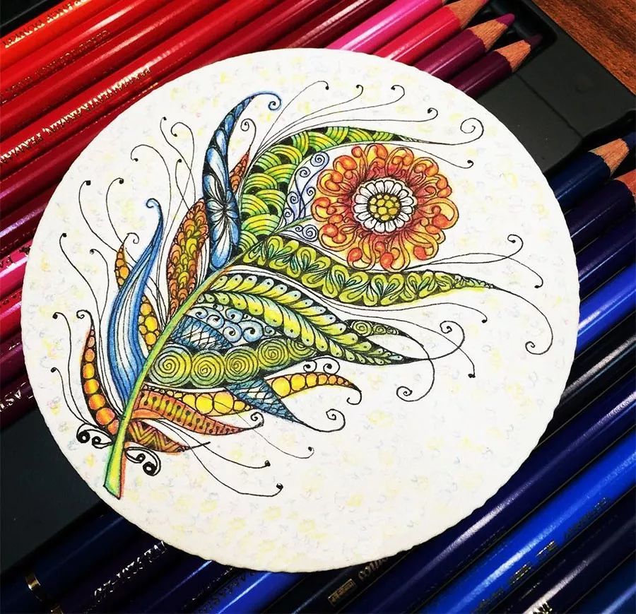线描和彩铅的色彩结合起来会带来鲜明的对比和丰富的美感在黑色的卡纸