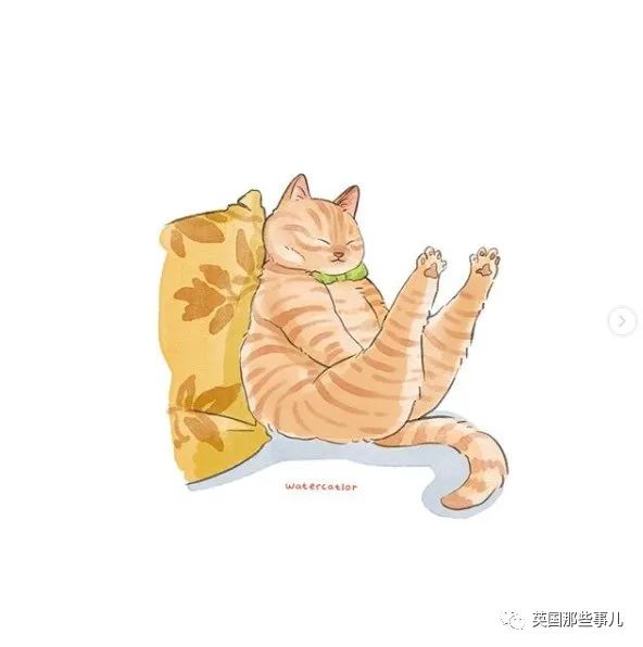 这些沙雕"猫片"经过插画师的二次创作,简直更萌了