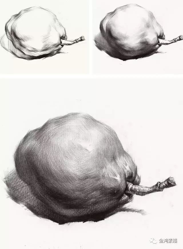 苹果梨西红柿素描教程