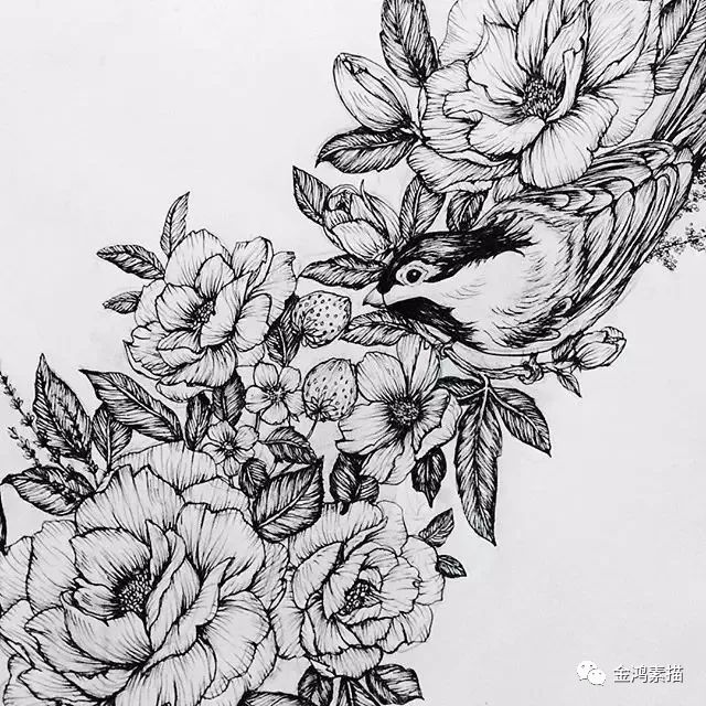 往期回顾线描能画成这样你就是大师了 | 线描画画的人都向往这样线条