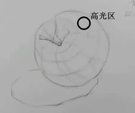 素描零基础入门教学—苹果素描详解,重点结构知识点