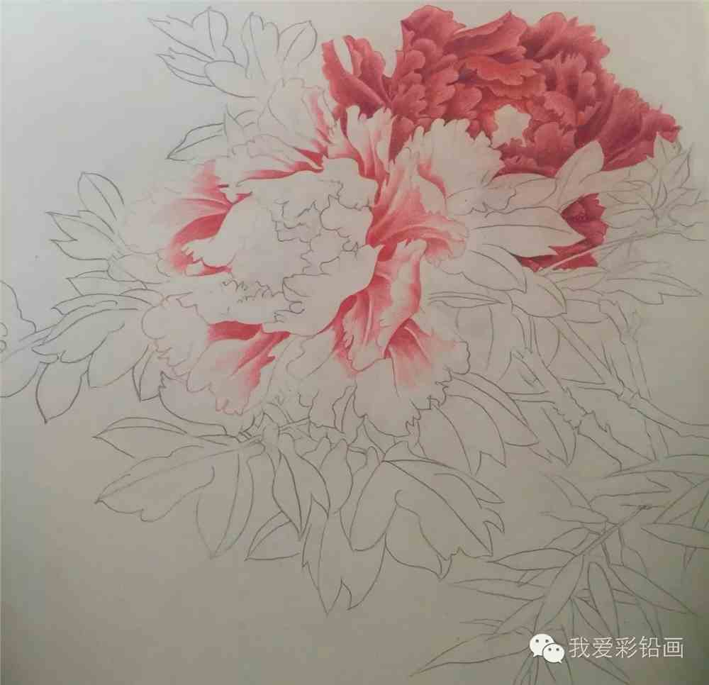 【彩铅作品】花开富贵~_素描绘画教程_零二七艺考