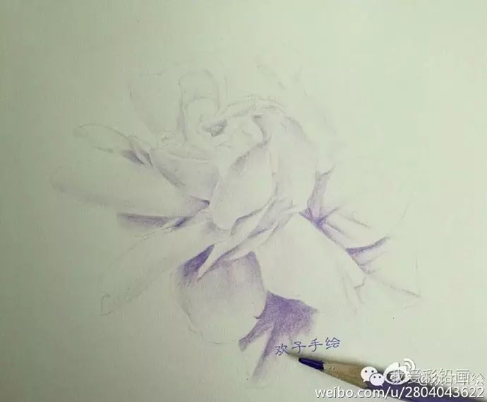彩铅作品来一组洁白香气四溢的栀子花