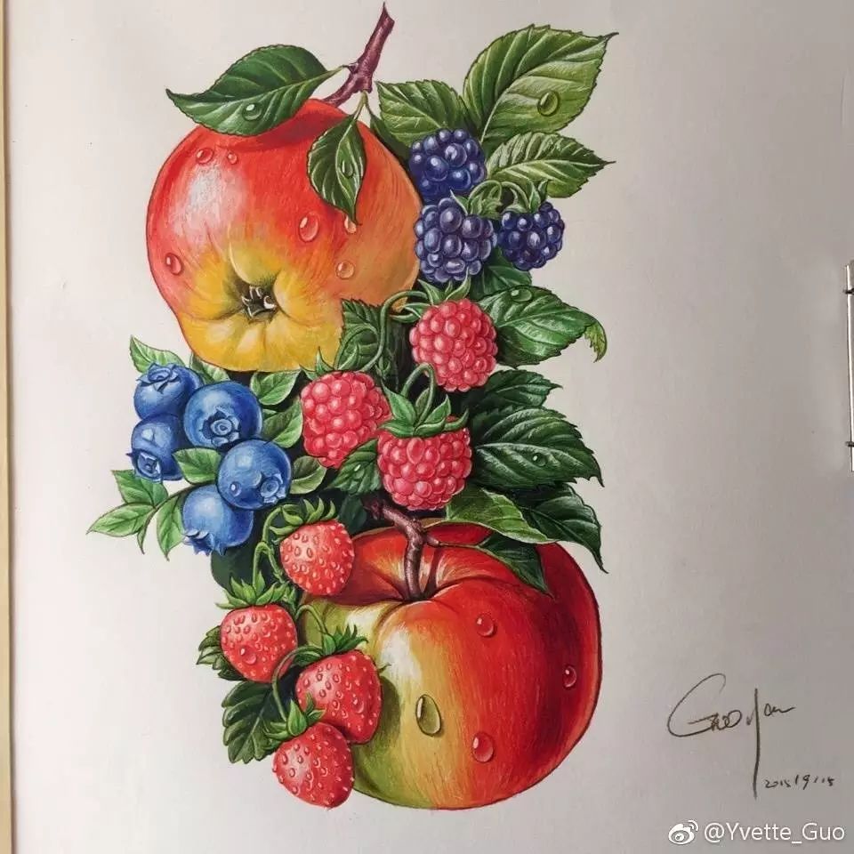 彩铅水果组合~~_素描绘画教程_零二七艺考