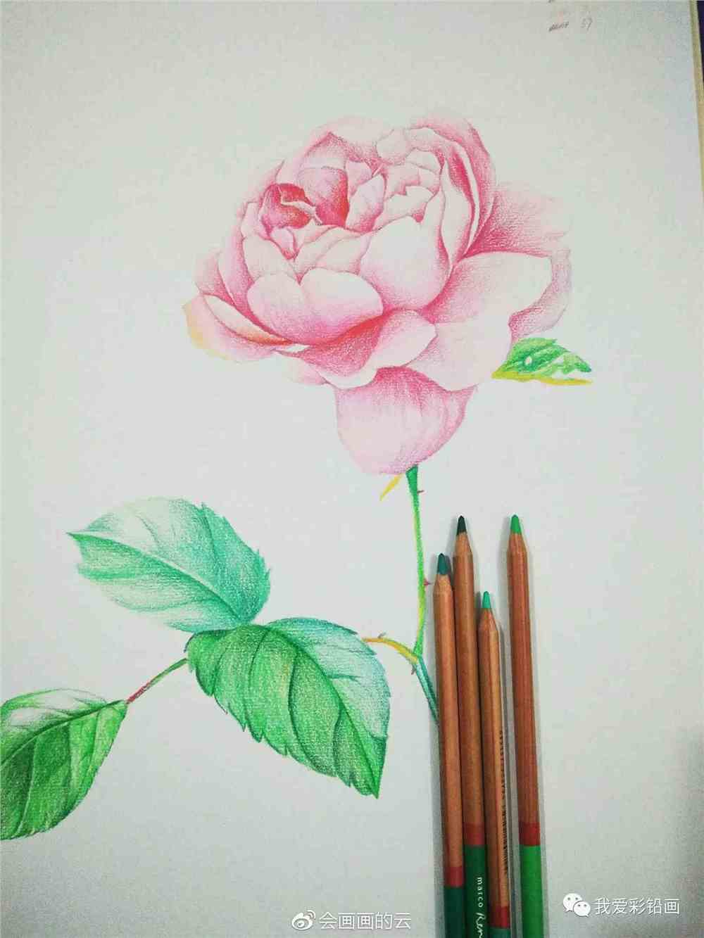 【小教程】画一朵花花送给你们