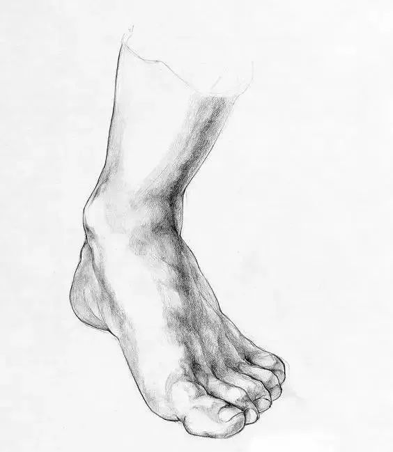 从几何体到人体结构你想要的素描资料这里都有