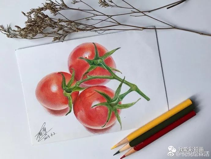 彩铅手绘—圣女果_素描教程绘画学院_零二七艺考