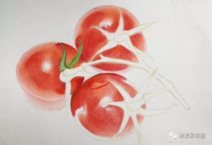 彩铅手绘—圣女果_素描绘画教程_零二七艺考
