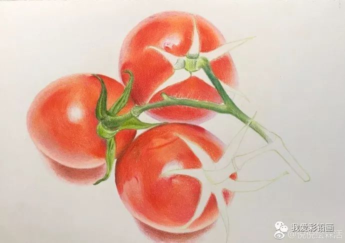 彩铅手绘—圣女果_素描绘画教程_零二七艺考