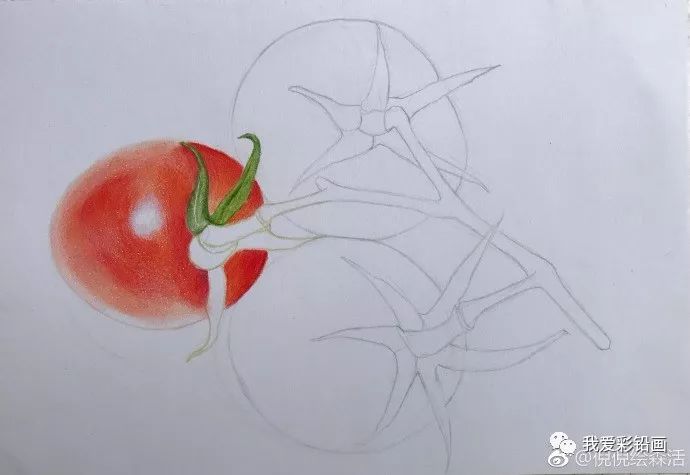 彩铅手绘—圣女果_素描绘画教程_零二七艺考